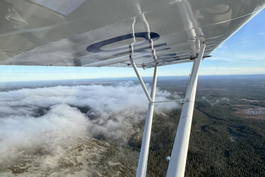 Kuvan © Henry Kesti